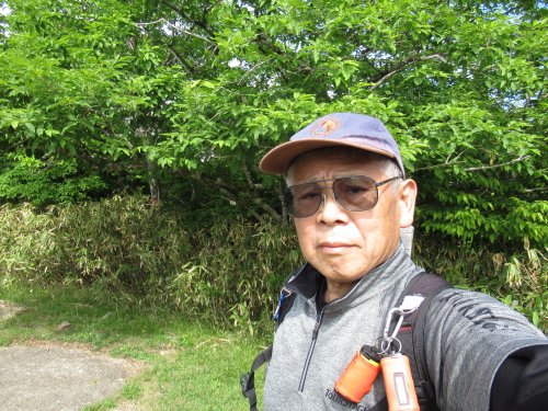 茶臼山頂上